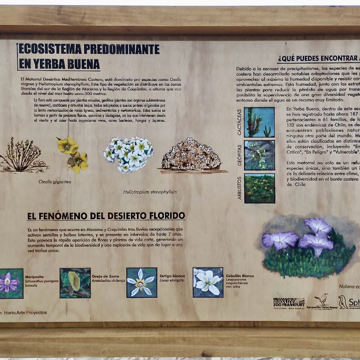 4a_Tafel Vorherschende Ecosystem_quad